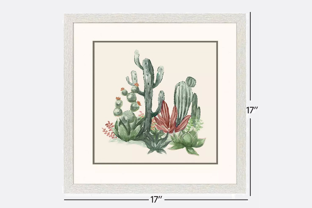 framed illustrations of cacti