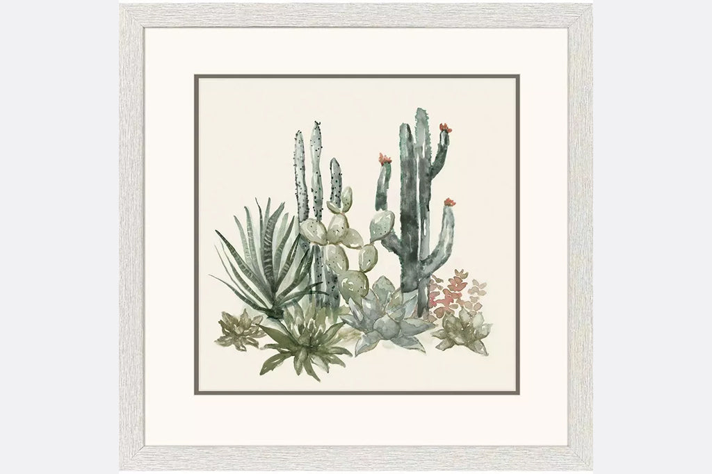 Framed illustrations of cacti