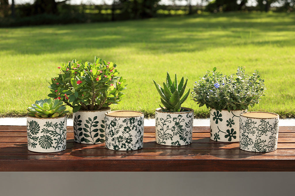 Set of potted plants with decorative pots on a wooden surface outdoors.