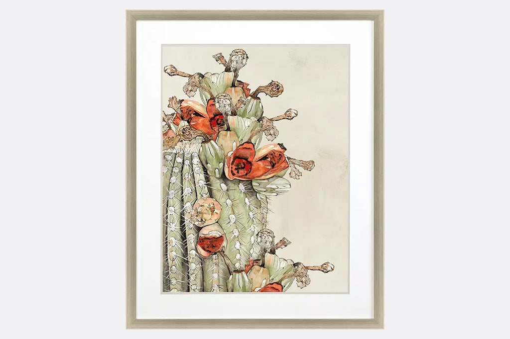 framed art with cactus and blooms painting