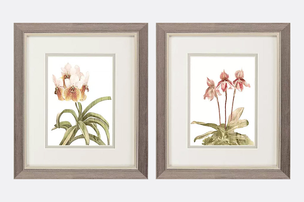framed art with pink orchids hanging on wall
