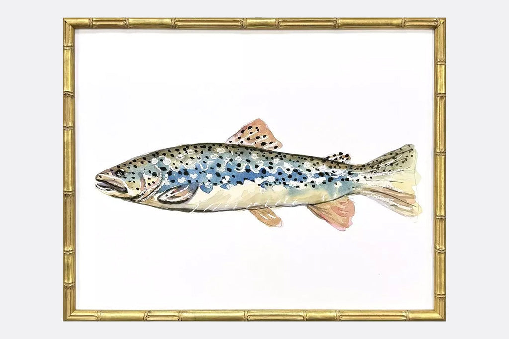 close up of printed colorful trout