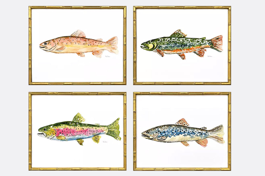 Set of four color trout framed in gold frame