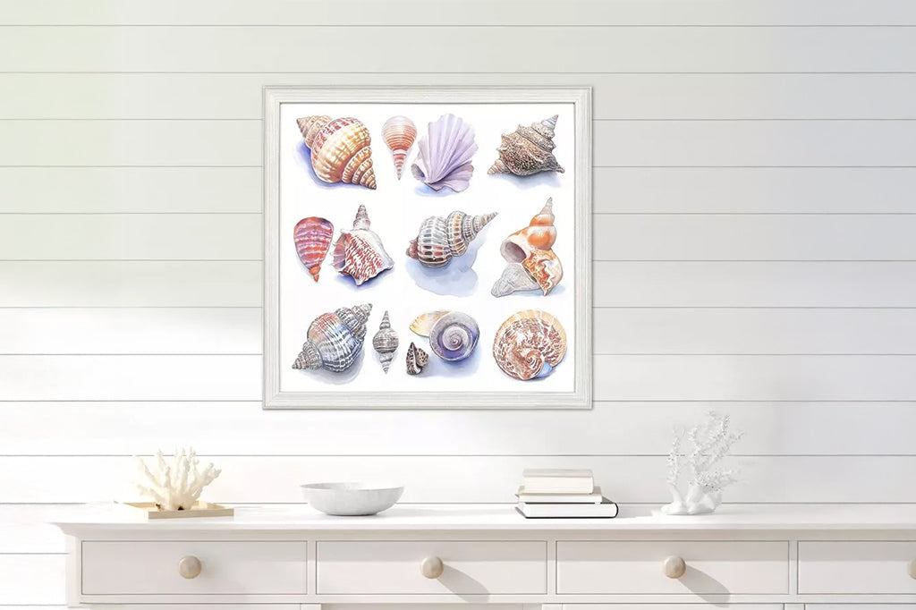 A coastal giclee features a variety of ocean seashells in varying colors. Framed to the image in a whitewash distressed wood with ribbed face. Mounted on wall in beach house interior