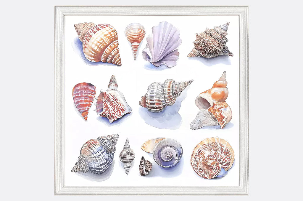 A coastal giclee features a variety of ocean seashells in varying colors. Framed to the image in a whitewash distressed wood with ribbed face.