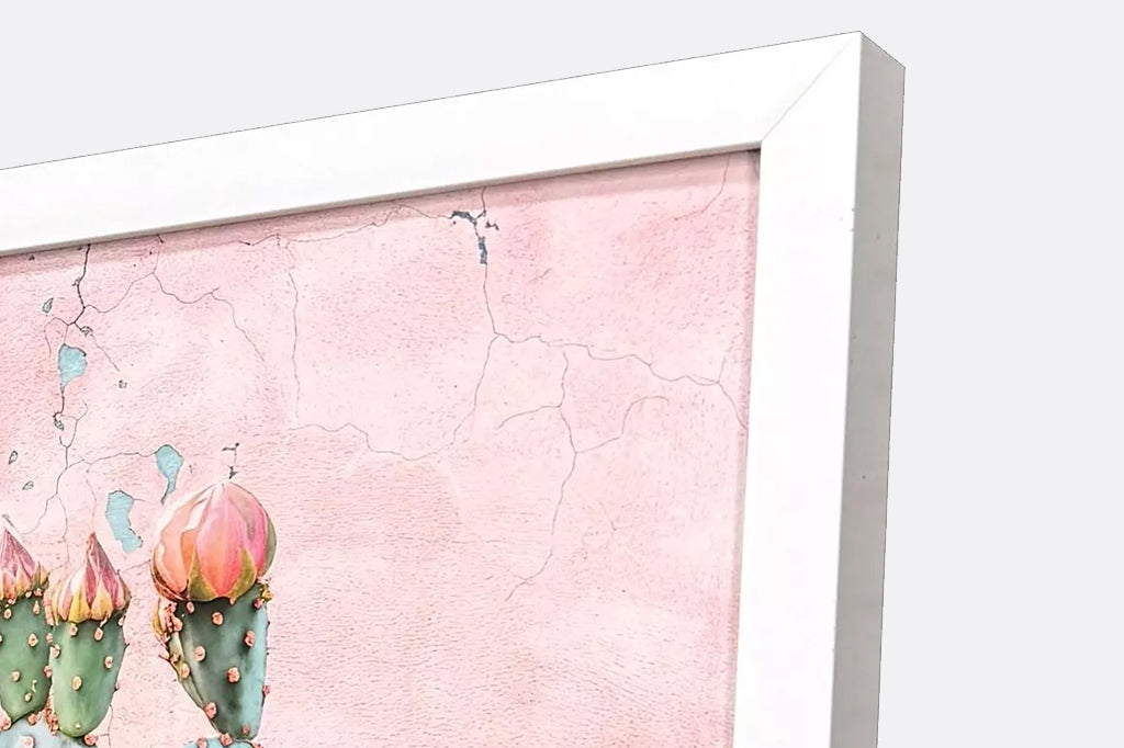 detailed view of the white frame on cactus prints