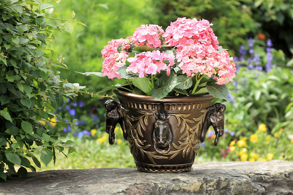 cast metal planter with horse head motifs on exterior shown in garden with potted pink hydrangea plant