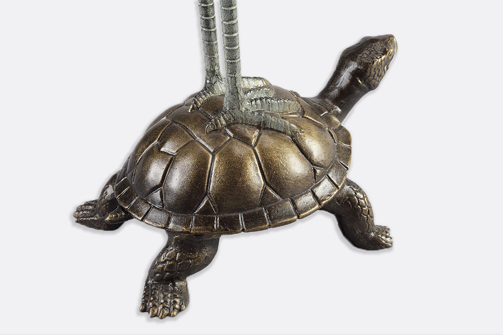 closeup view of crane feet on turtle back