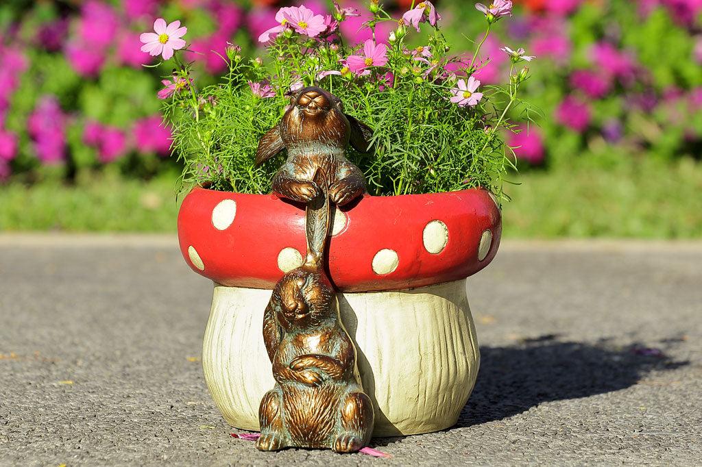 red spotted mushroom planter with two playful bunnies tugging at ones ears . Shown outside on garden path
