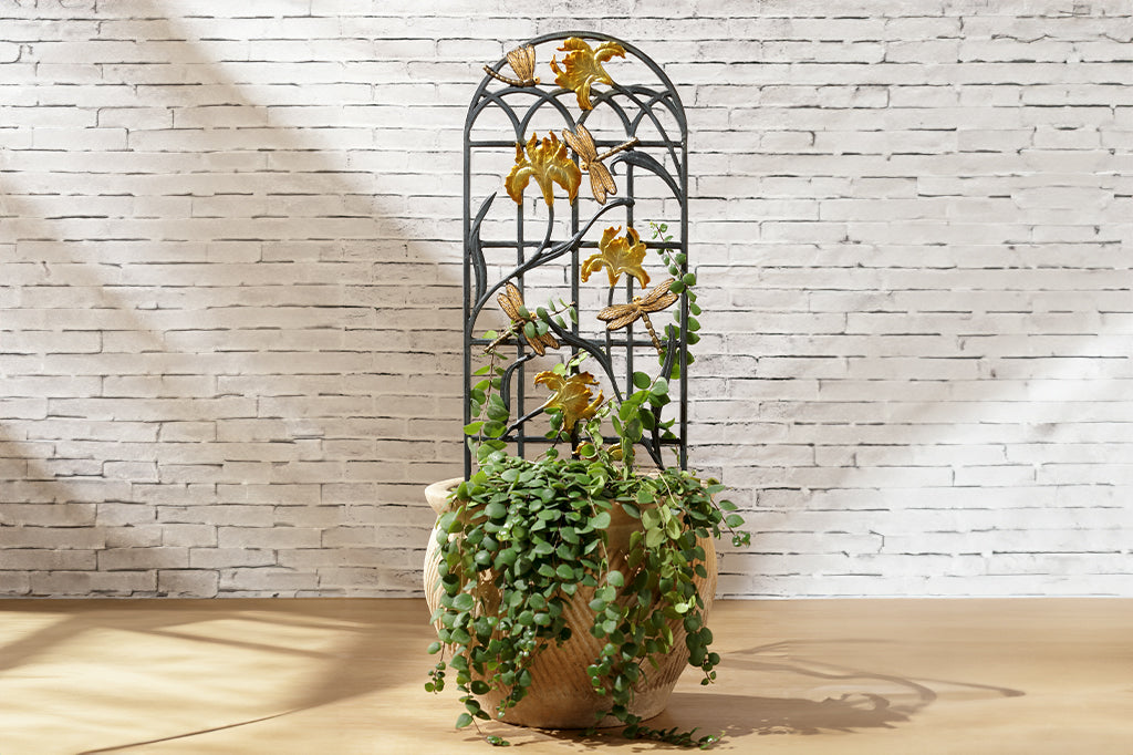 cast aluminum metal arched garden trellis, with golden dragonfly and iris designs. Planter placed in pot with green trailing plant.