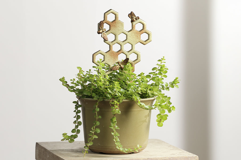 cast metal honeycomb shaped planter trellis in pot sitting on pedestal, indoors