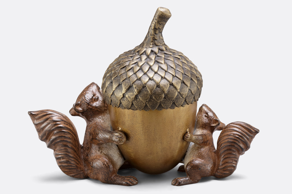 back of squirrel treasure box