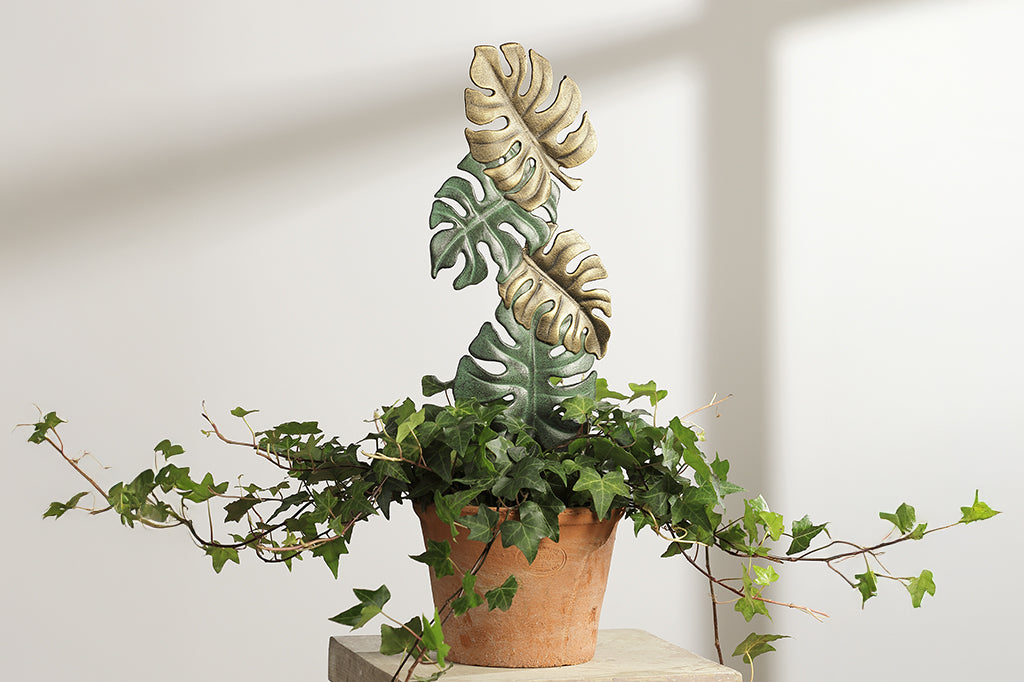 mini monstera trellis Monsteras Planter Trellis