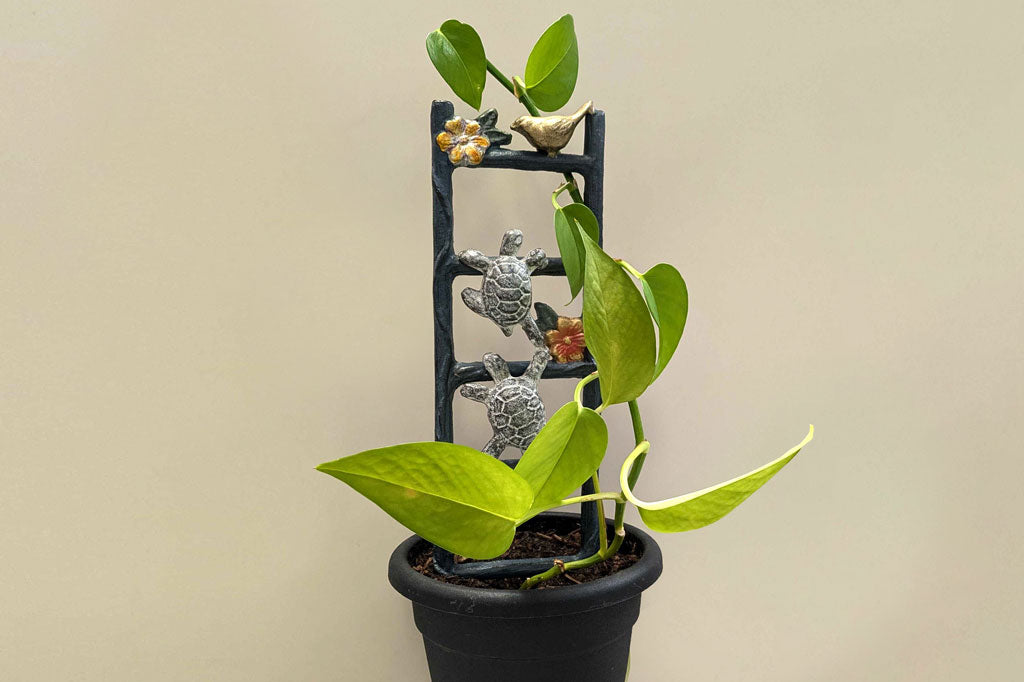 cast aluminum pot trellis featuring two turtles climbing on a flower vine ladder shown in 6"DIA pot with climbing vine
