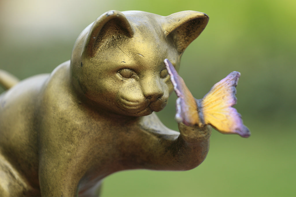 detailed view of kitty face with purple and yellow butterfly sitting on paw