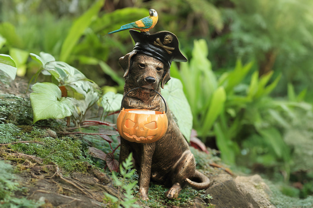 cast metal pirate dog with parrot sitting on pirate hat with jack o lantern in mouth set in garden scene