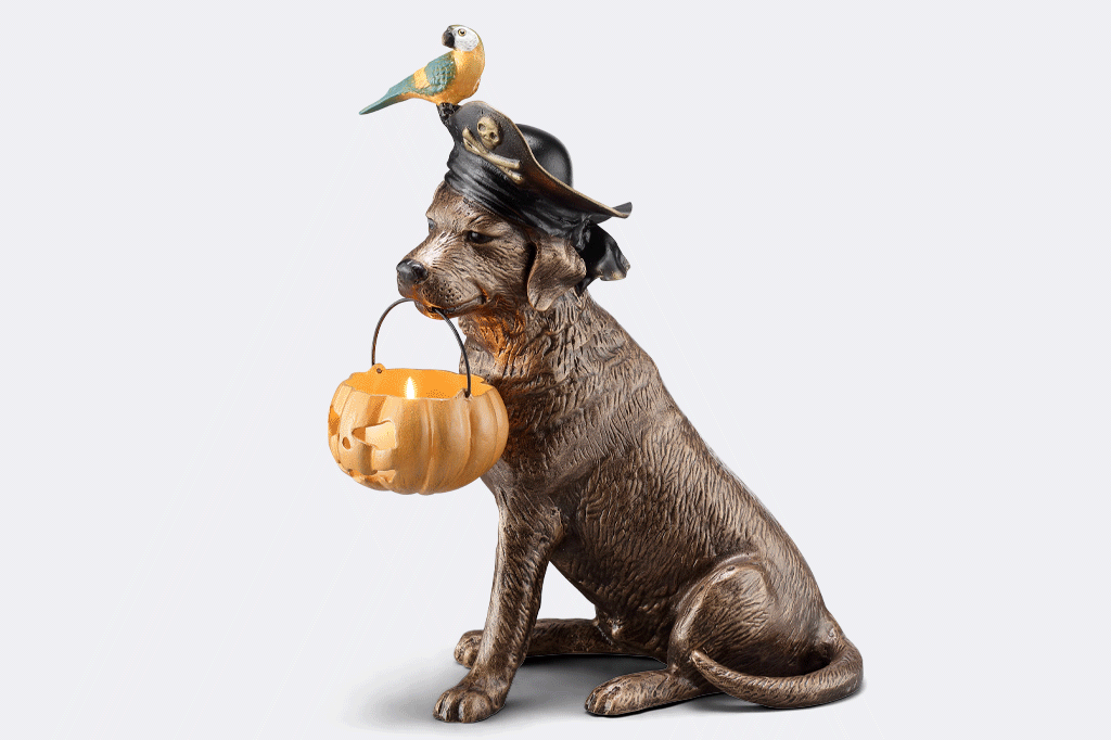 animation of rotating pirate dog with jack o lantern