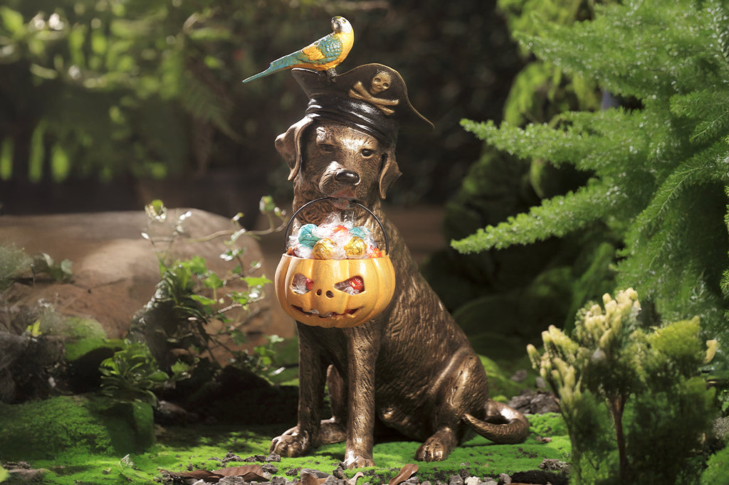 cast metal dog with pirate hat holding jack o lantern in mouth set in garden scene