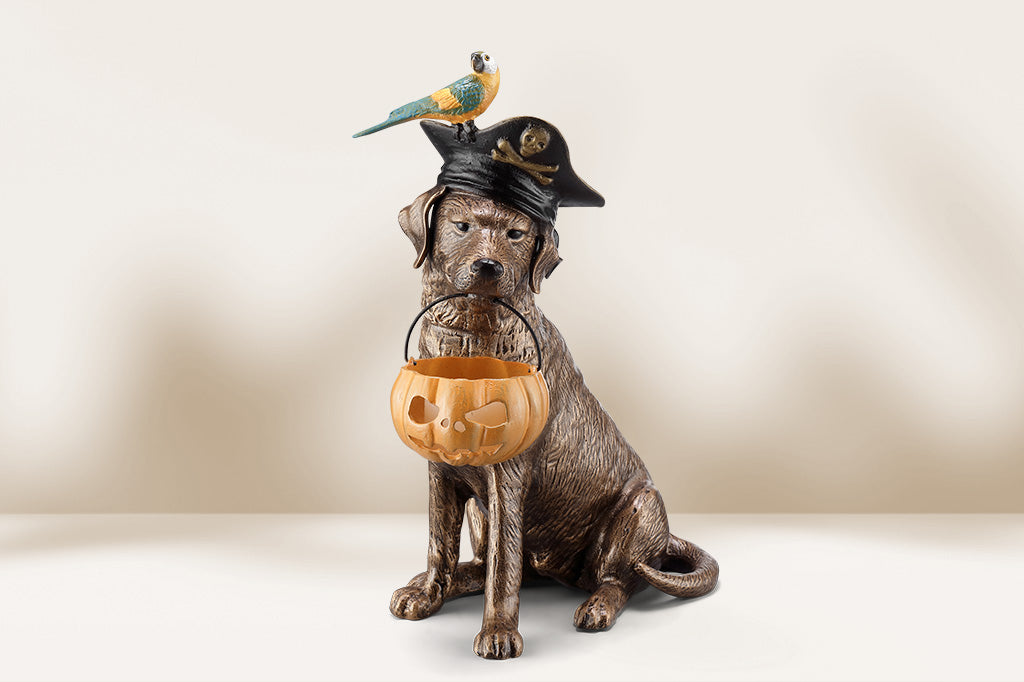 Dog statue with a pirate hat and pumpkin, sitting on a white surface with a beige background