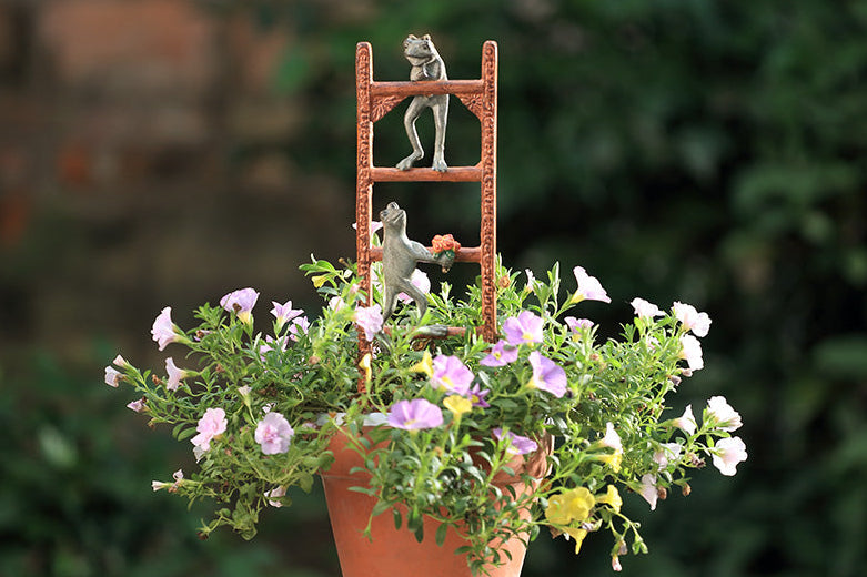 A Trellis of a Frog holding a flower coming up to meet another frog in a flower pot.
