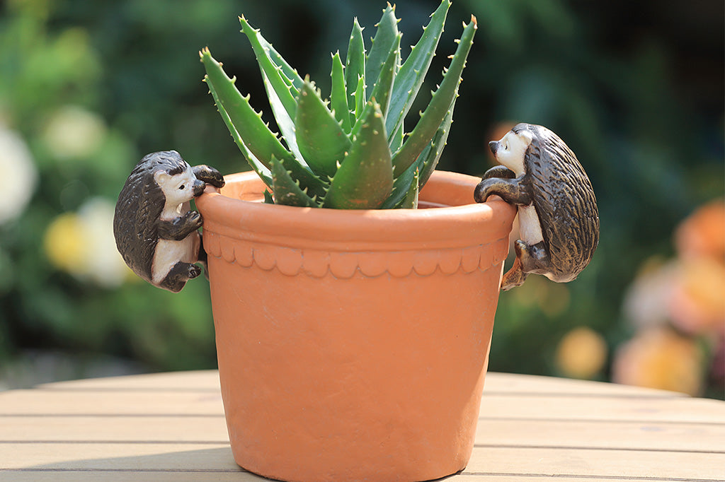 Pot hanging sculptures of two hedgehogs climbing.