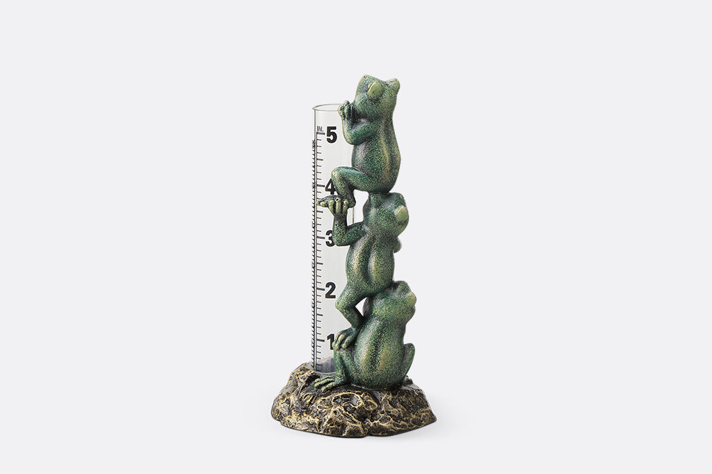 Frog-themed thermometer on a white background