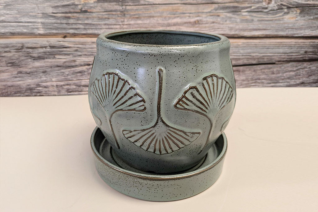 Ceramic planter with ginkgo leaf design on a wooden background