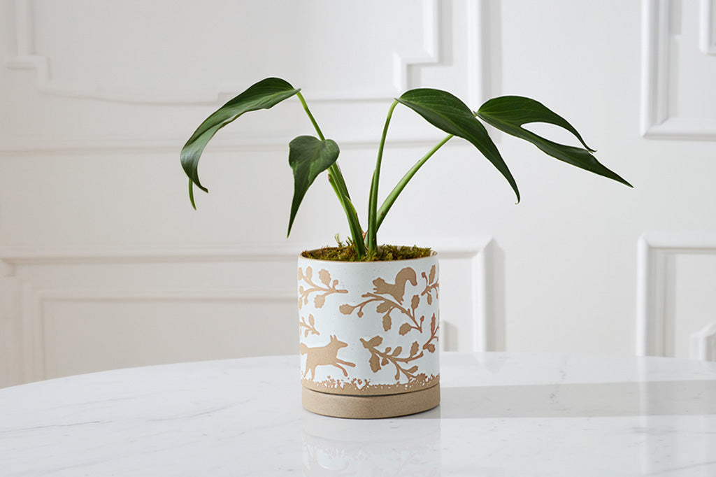 A green houseplant in a white ceramic pot with a gold deer and leaf pattern, sitting on a white marble table against a white paneled wall.