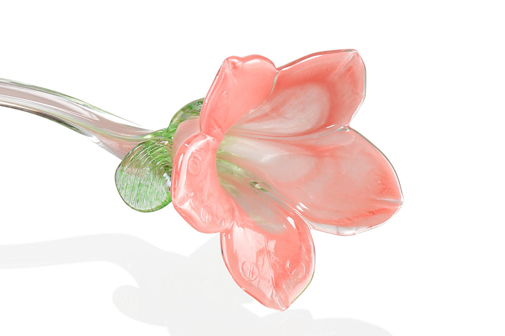 Closeup of VB83102 Peach Colored Flower
#color_pink