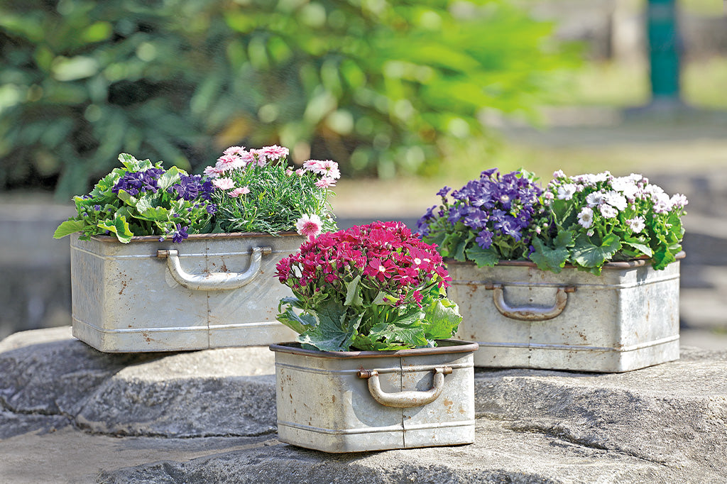 Rustic Rectangular Planters with Handles S/3