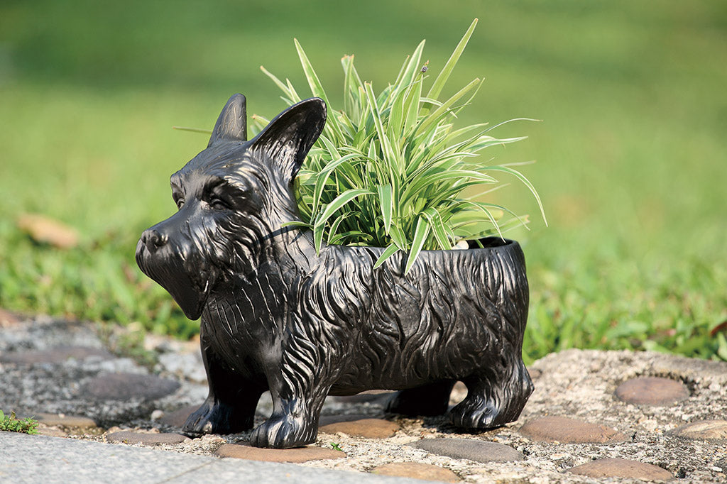 cast metal Scottie dog planter with spider plant