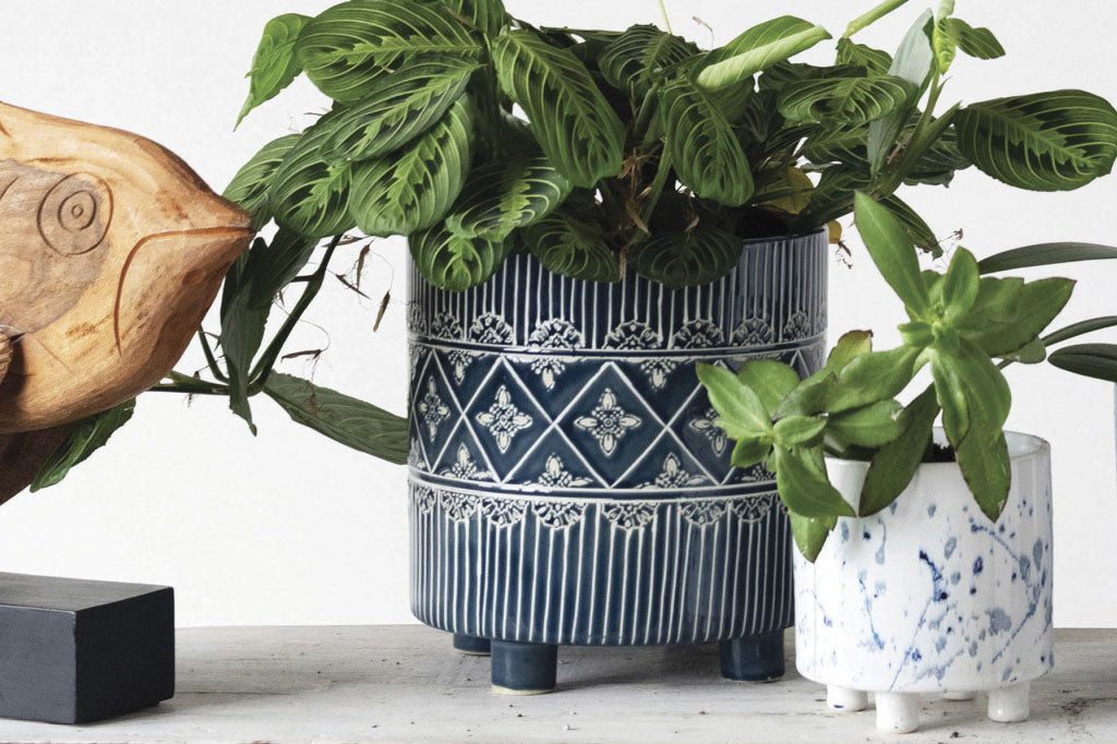 Jardinera de encaje azul medianoche