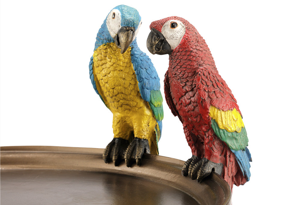close up of two parrots, one blue and yellow the other one red and yellow