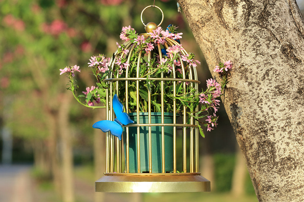 Butterflies of blue are sculpted onto a golden bird cage style plant or candle holder. Shown hanging from a tree holding potted flowers