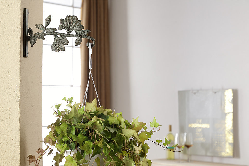 The Magnolia Dawn Mounted Hanger is shown indoors holding an ivy plant