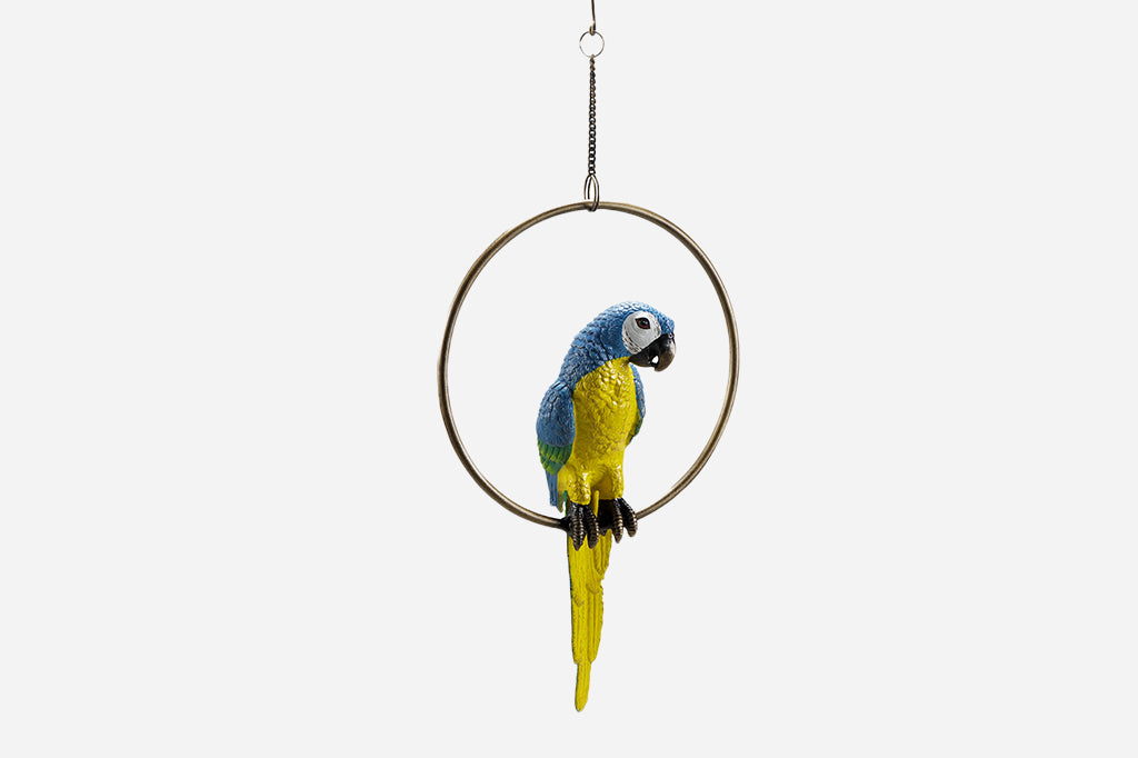 Yellow and blue parrot sculpture on hoop