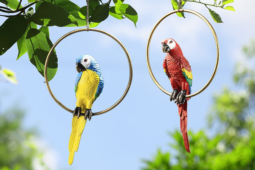 red parrot in hoop next to blue and yellow parrot in hoop