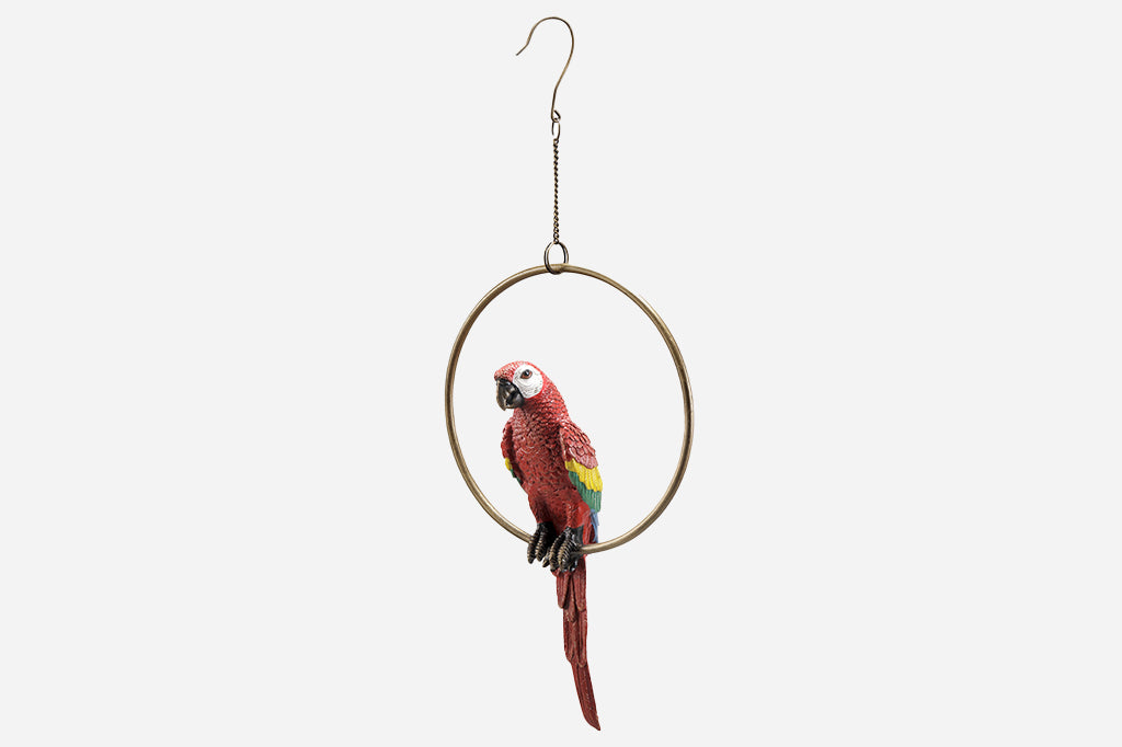 red parrot in hoop hanging decoration