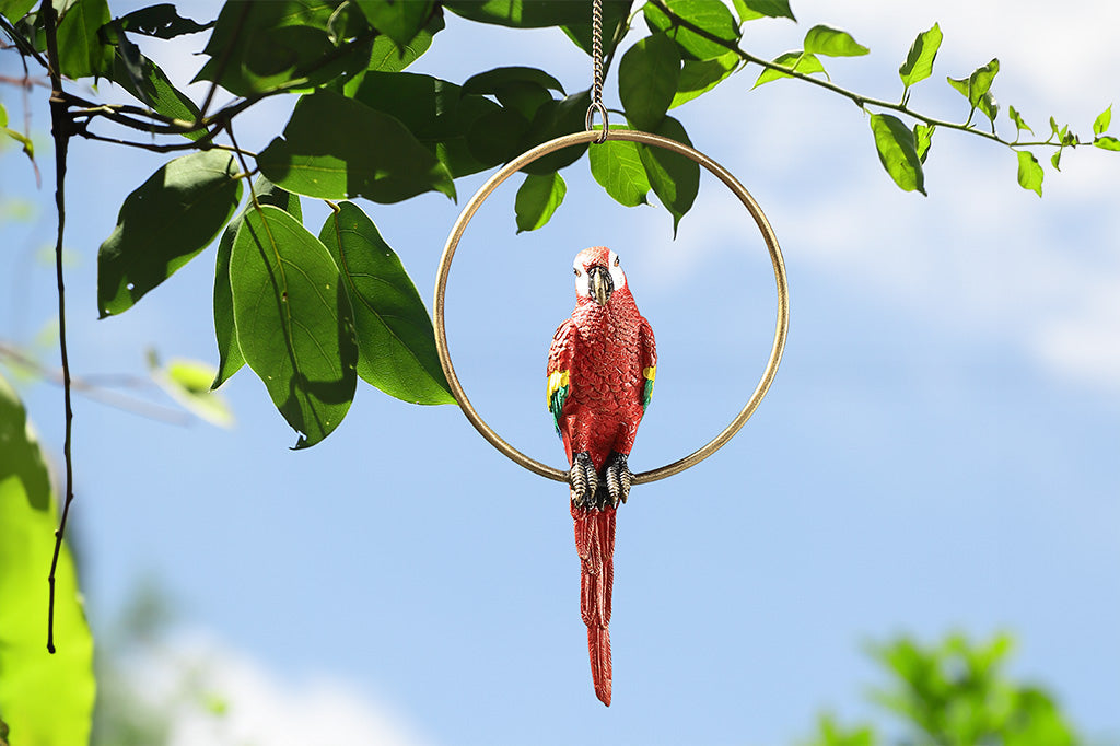 red parrot on gold hoop hanging from tree