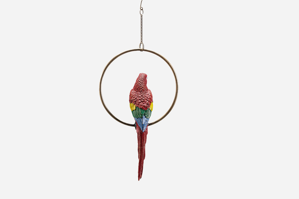 red parrot in hoop hanging decoration