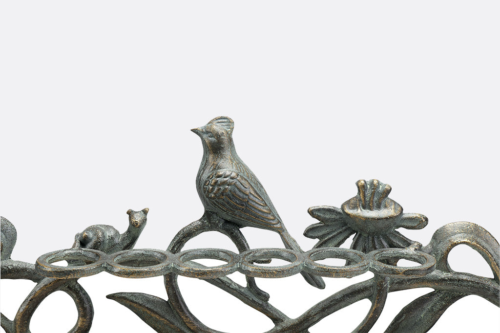 detailed shot bird and snail friend.