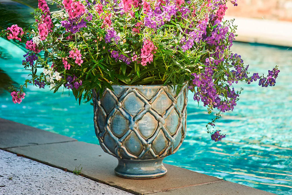 blue footed ceramic pot with a plant seated next to pool