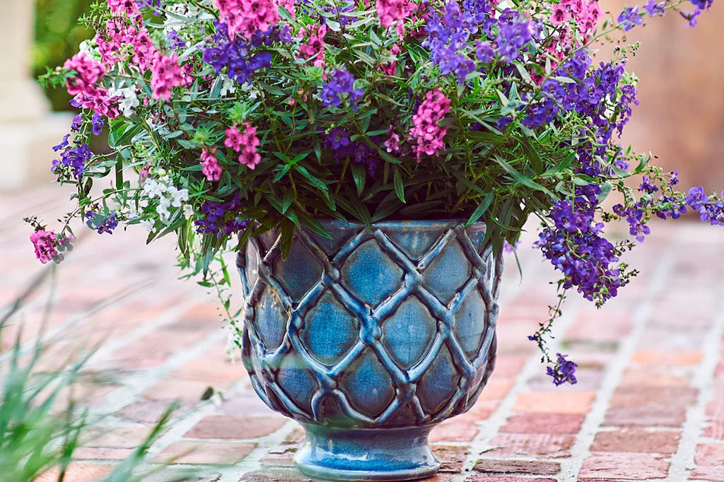 ceramic urn shaped planter with blue crackle glaze holds potted blooms on a brick pateio