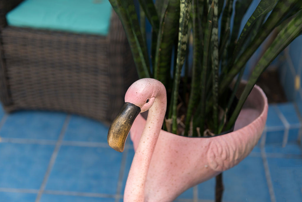 Festive Flamingo Planter & Beverage Tub close up view of golden beak on head of flamingo. blue tile ground