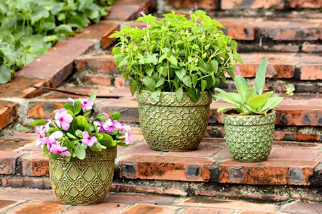 Set of three green pots of varying sizes