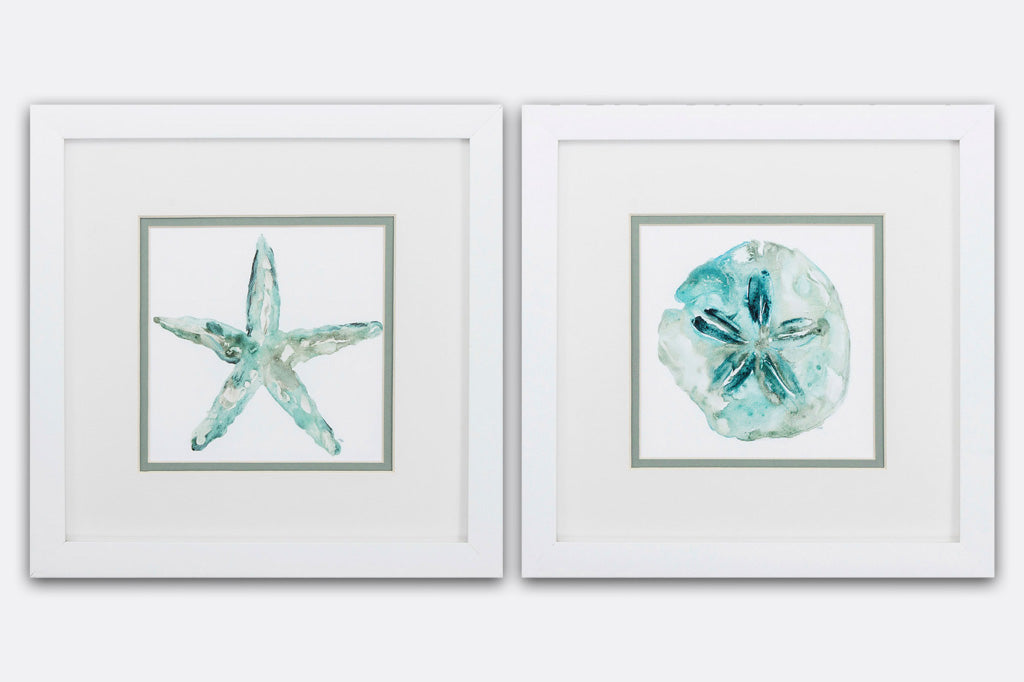 sand dollar and starfish water color grey and blue framed art