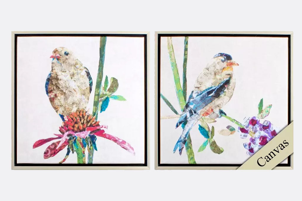 Colorful Finches Framed Art Prints Set of Two