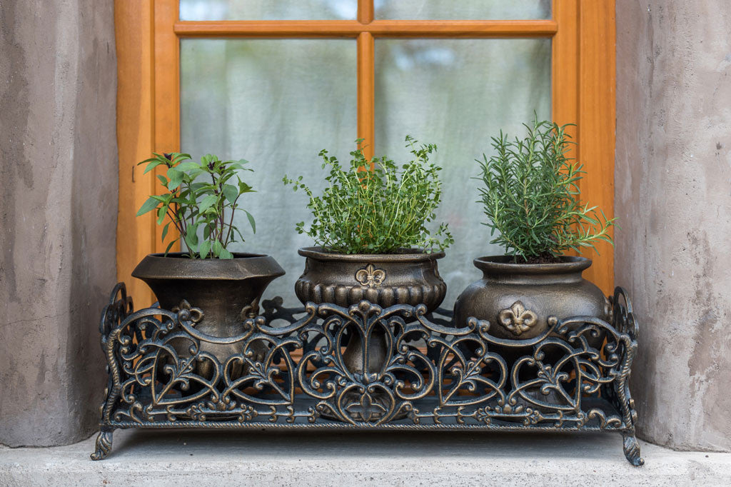 Fleur de Lys Herb Pots with Base