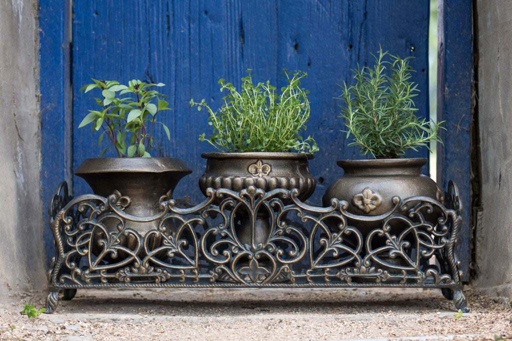 Fleur de Lys Herb Pots with Base shown on ground in front of blue door
