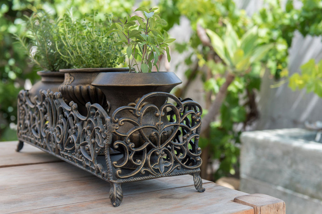 Fleur de Lys Herb Pots with Base